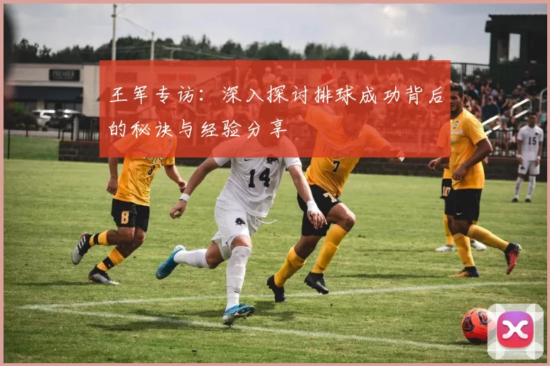 王军专访：深入探讨排球成功背后的秘诀与经验分享