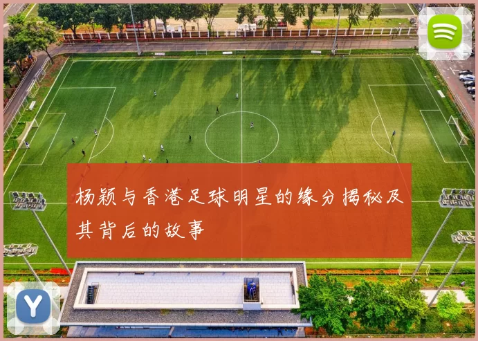 杨颖与香港足球明星的缘分揭秘及其背后的故事
