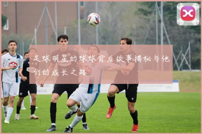 足球明星的球球背后故事揭秘与他们的成长之路
