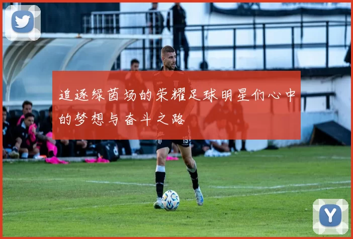 追逐绿茵场的荣耀足球明星们心中的梦想与奋斗之路