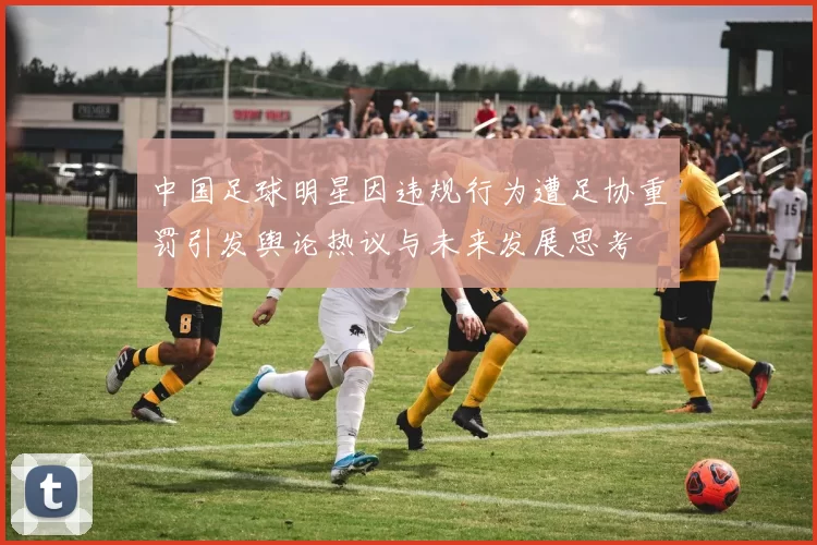 中国足球明星因违规行为遭足协重罚引发舆论热议与未来发展思考