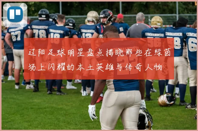 辽阳足球明星盘点揭晓那些在绿茵场上闪耀的本土英雄与传奇人物