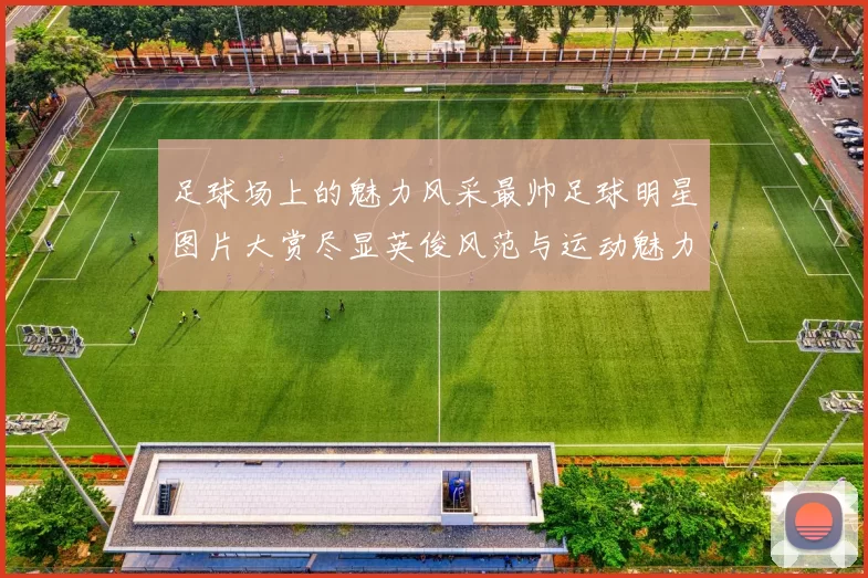 足球场上的魅力风采最帅足球明星图片大赏尽显英俊风范与运动魅力