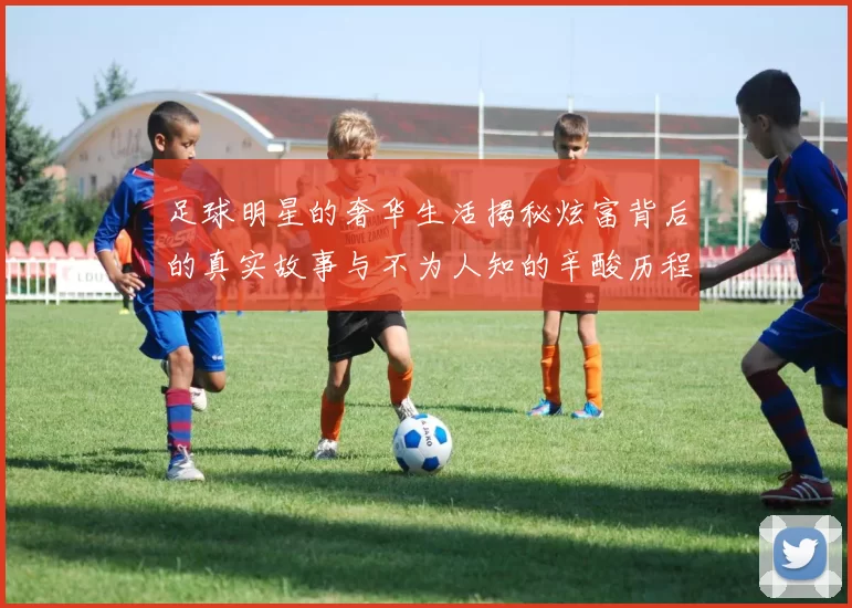 足球明星的奢华生活揭秘炫富背后的真实故事与不为人知的辛酸历程